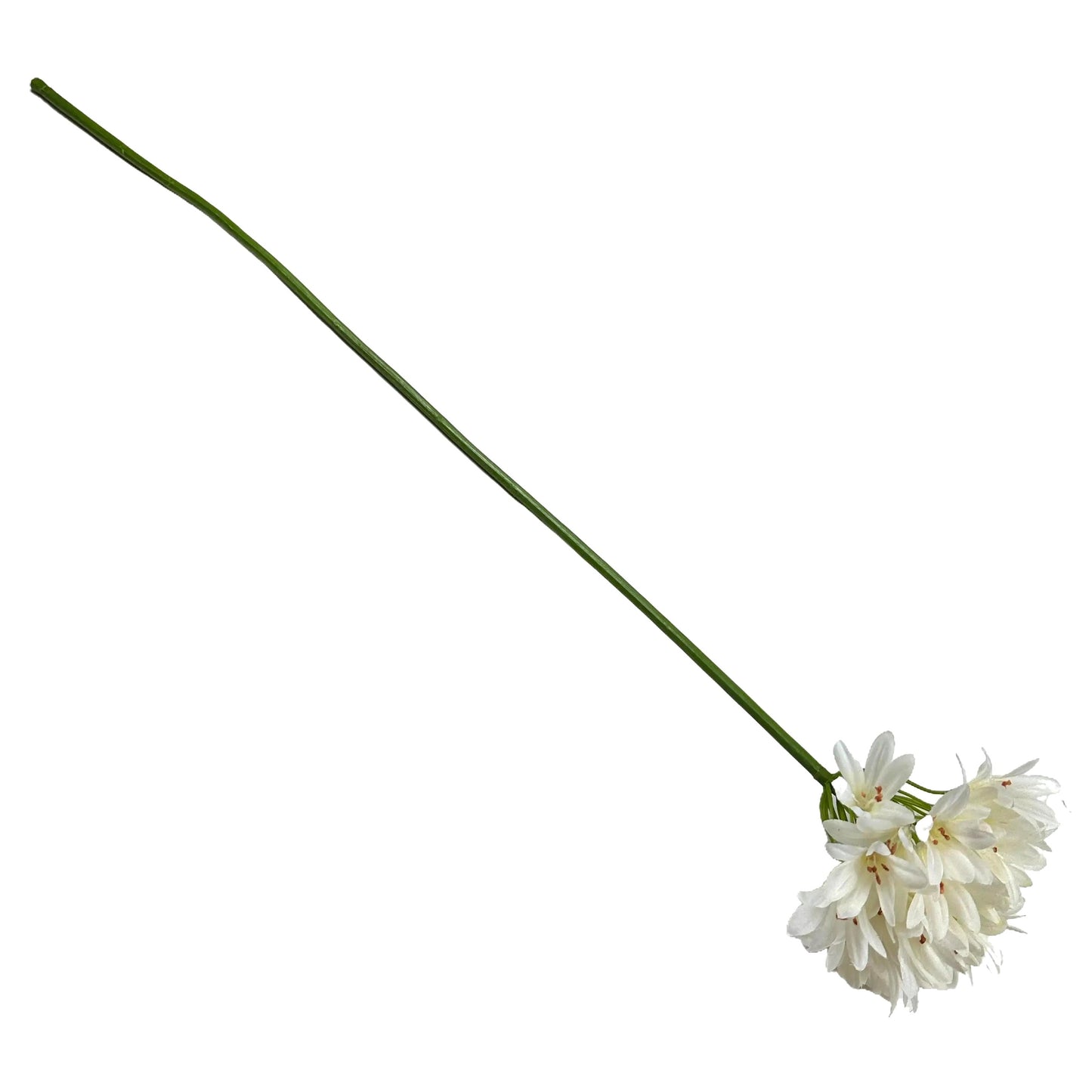 Artificial Agapanthus Flower Stem 87cm - Cream