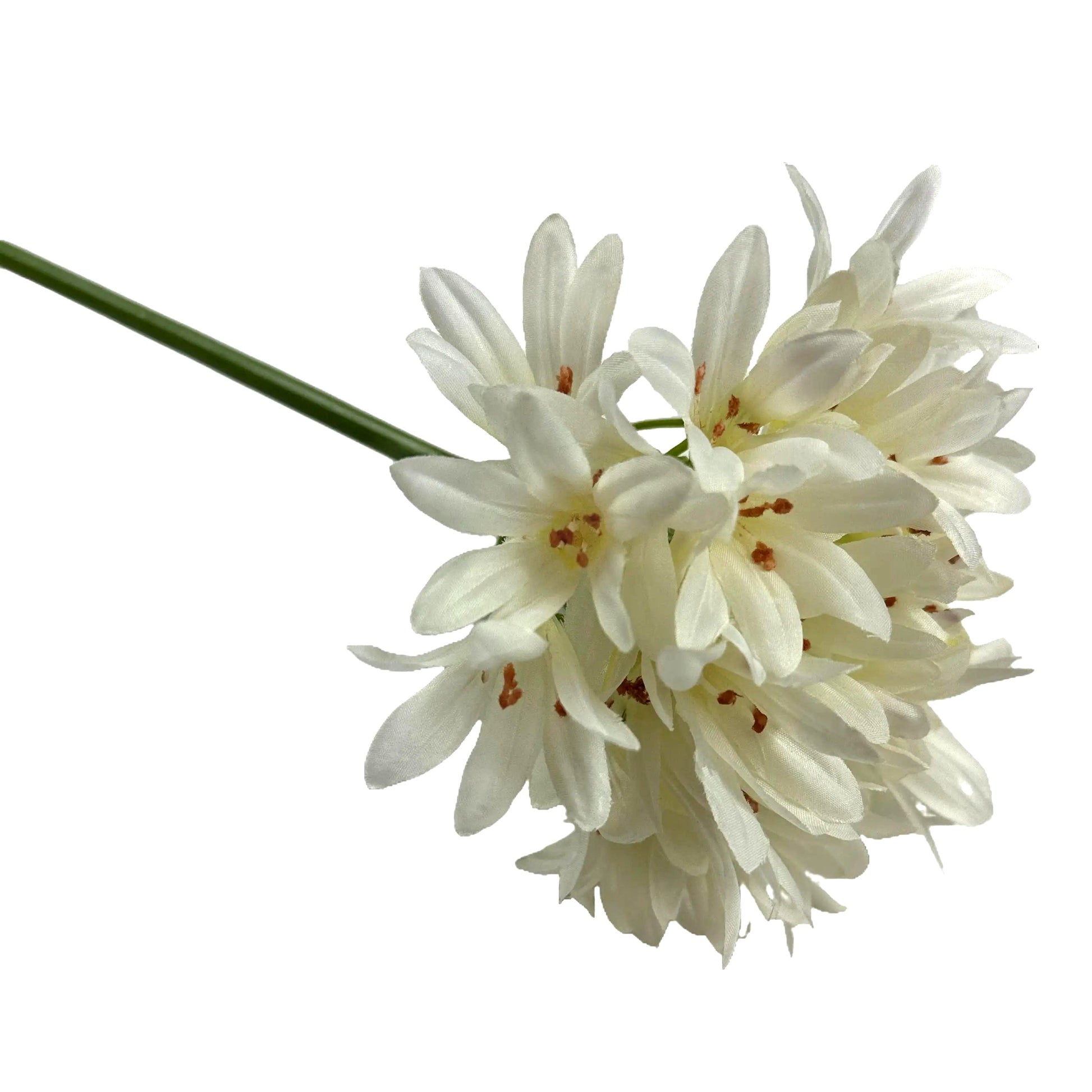 Artificial Agapanthus Stem With Cream Faux Flowers