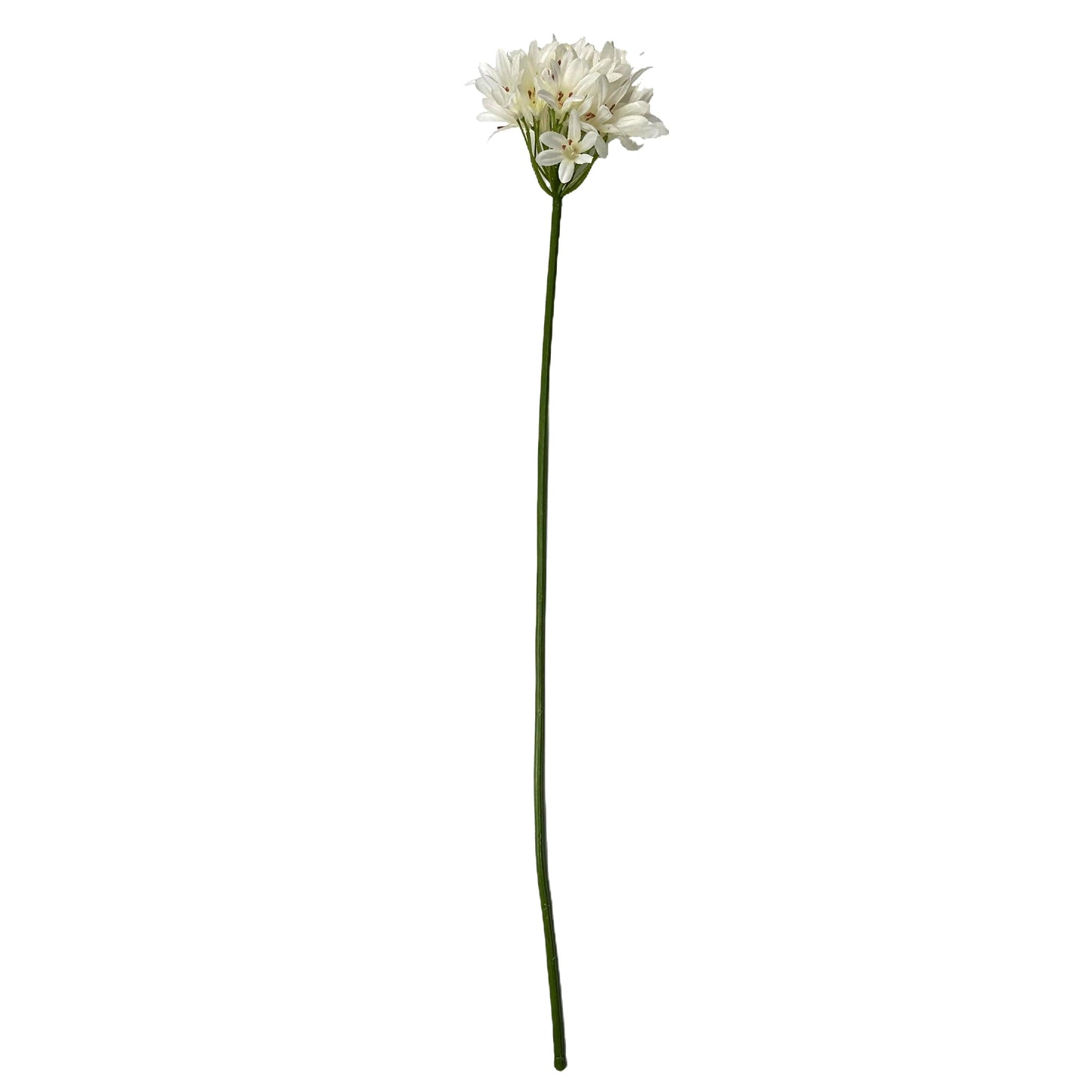 Artificial Agapanthus Flower Stem 87cm - Cream