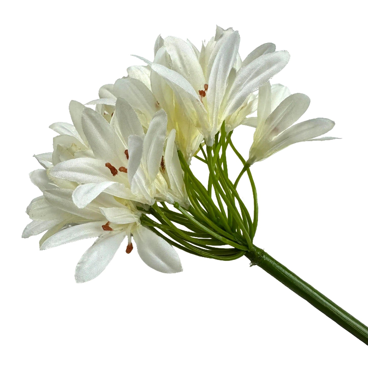 Artificial Agapanthus Flower Stem 87cm - Cream