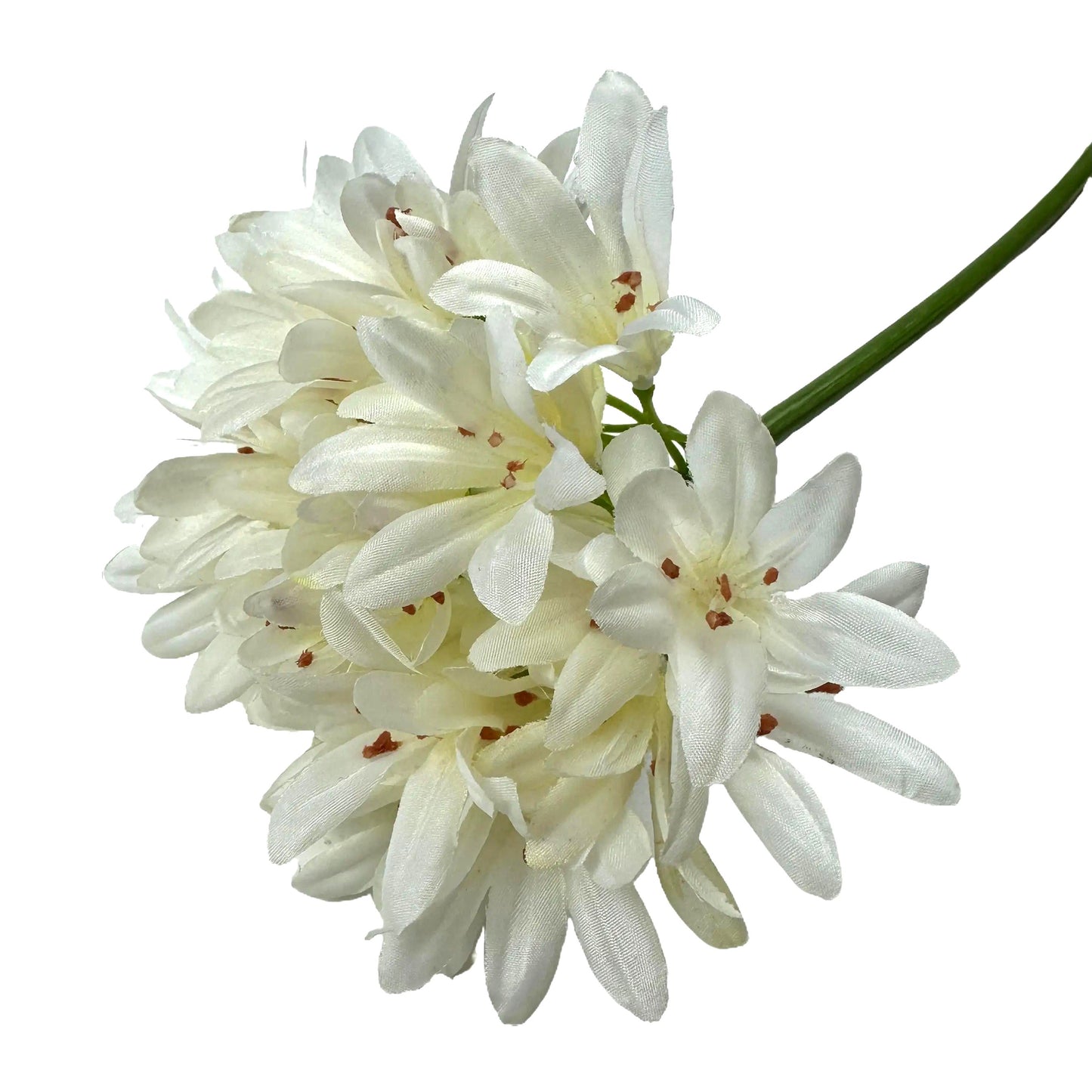 Artificial Agapanthus Flower Stem 87cm - Cream