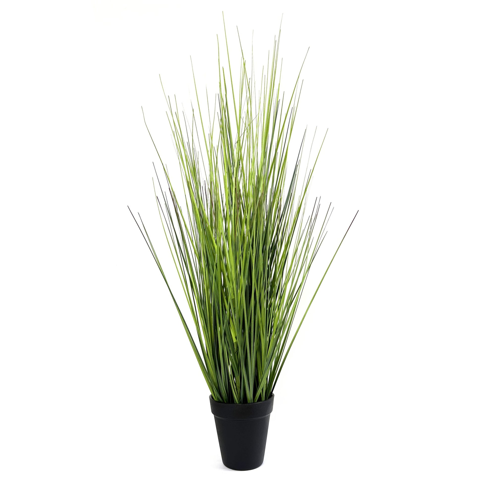 Artificial Grass Plant in Black Pot