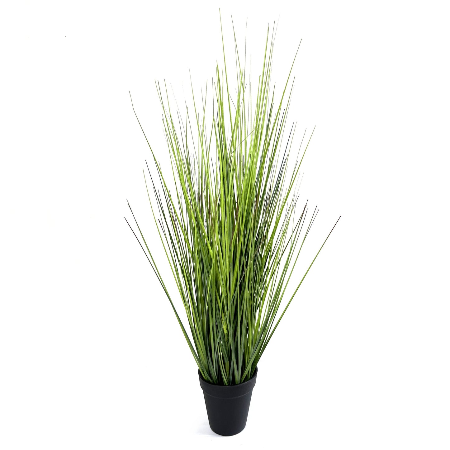 Artificial Grass Plant in Black Pot