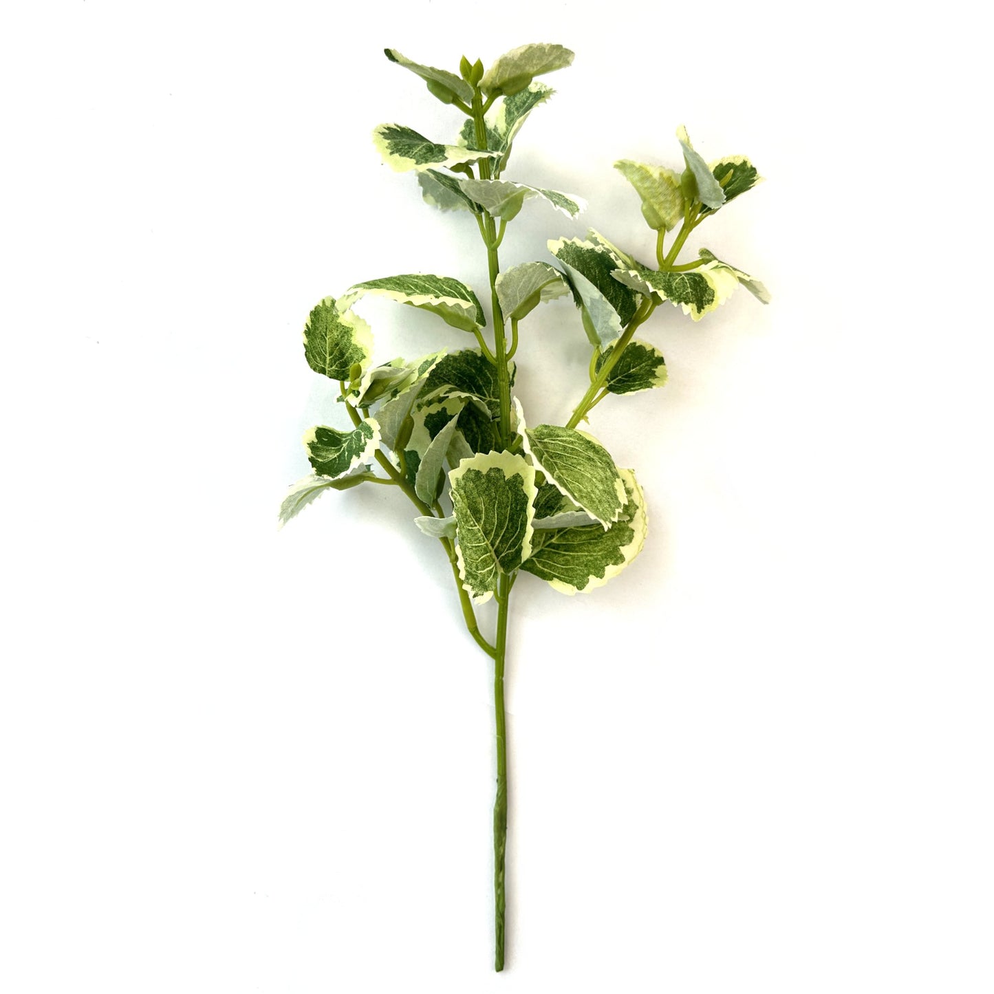 Artificial Patchouli Plant With Variegated Faux leaves