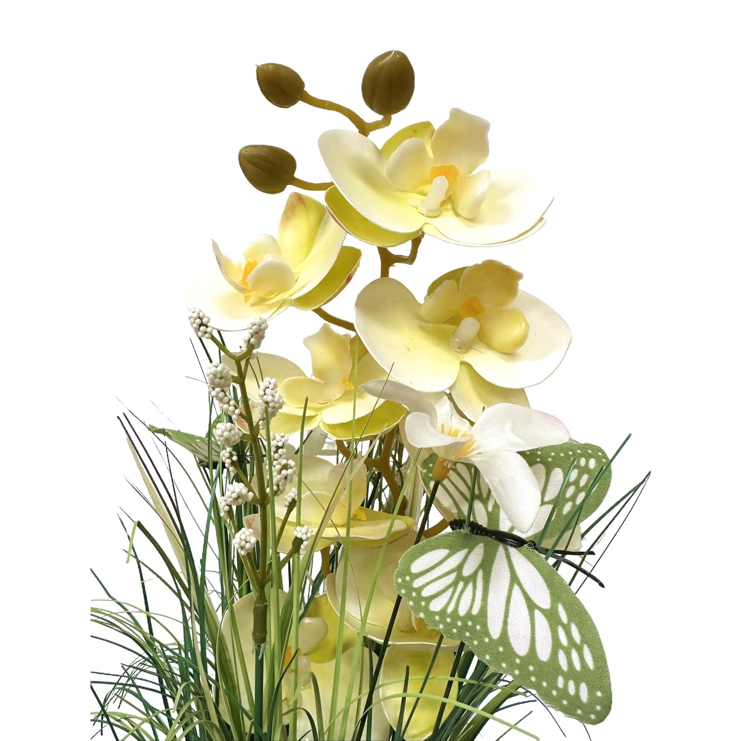 Artificial Grass, Cream Orchid and White Flower Arrangement with Butterflies