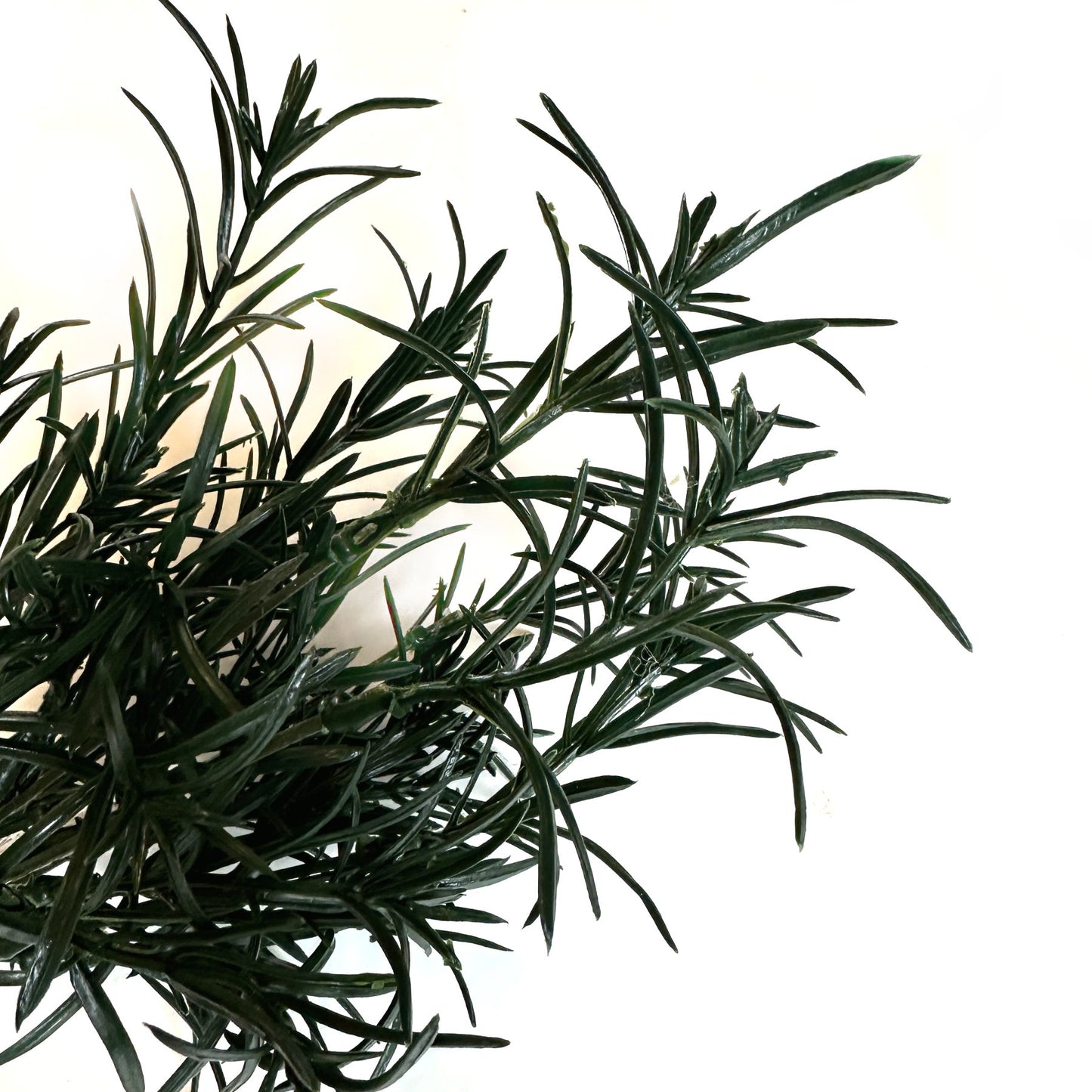 Artificial Rosemary Bush Plants 30cm