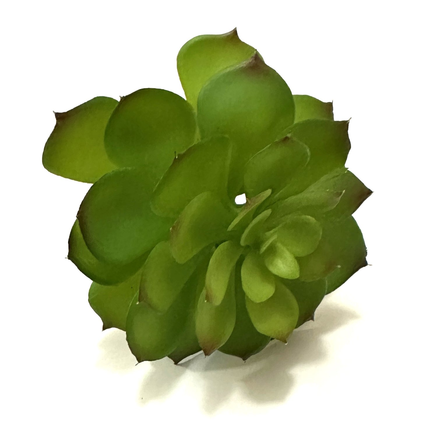 Artificial Sempervivum Succulent Plant Pick