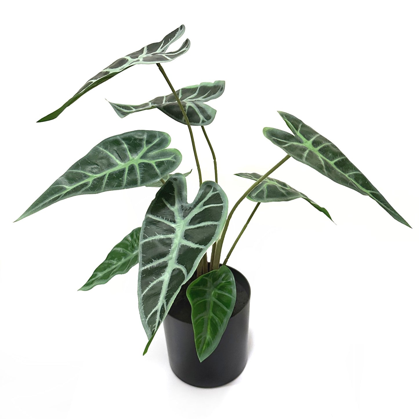 Artificial Alocasia Plant in Black Pot 38cm