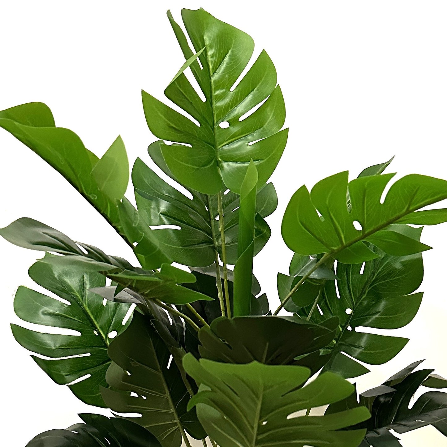 Artificial Monstera Plant in Black Pot 50cm