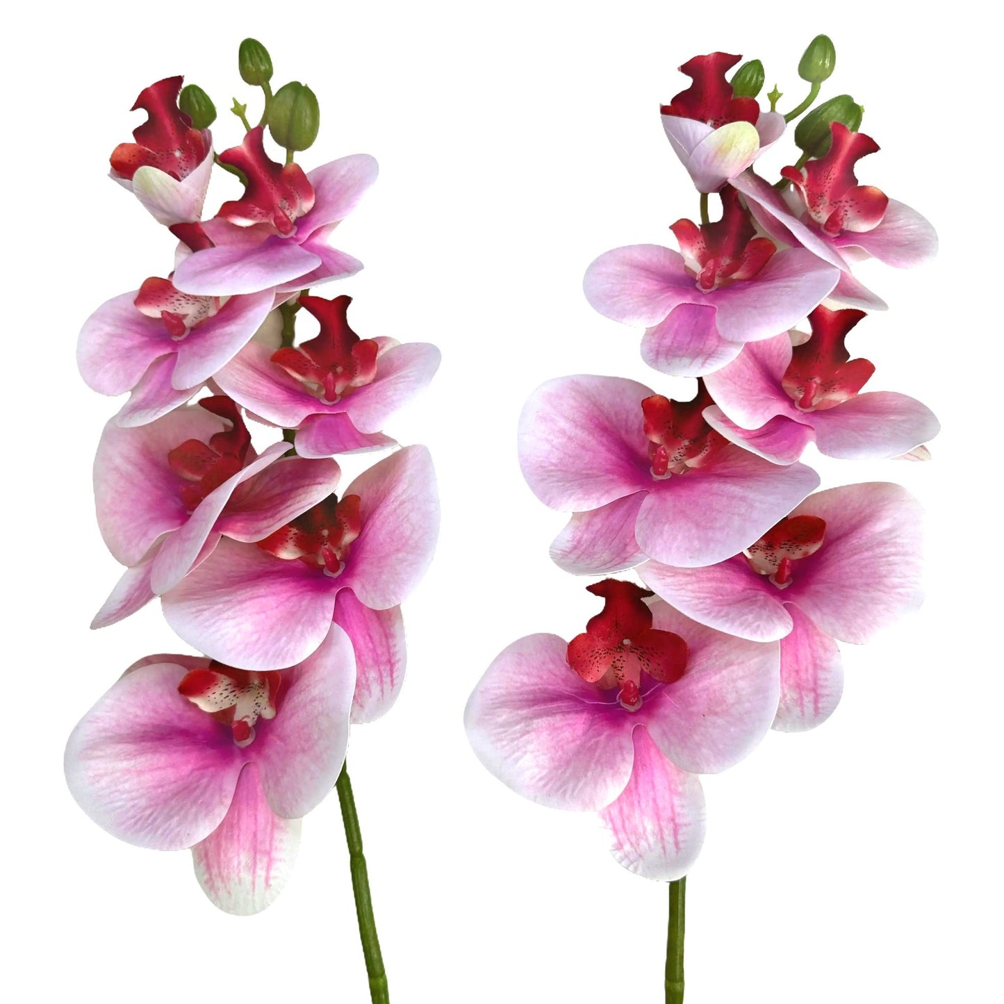 Artificial Fuchsia Pink Phalaenopsis Orchid Flower Stem 75cm