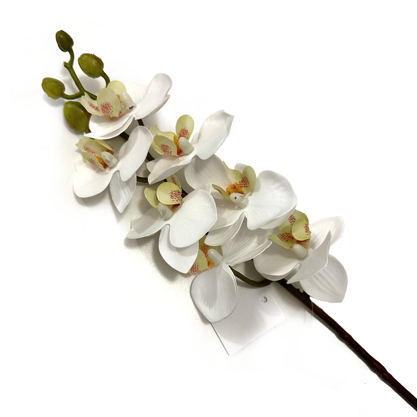 Artificial Ivory White Phalaenopsis Orchid Flower Stem 75cm