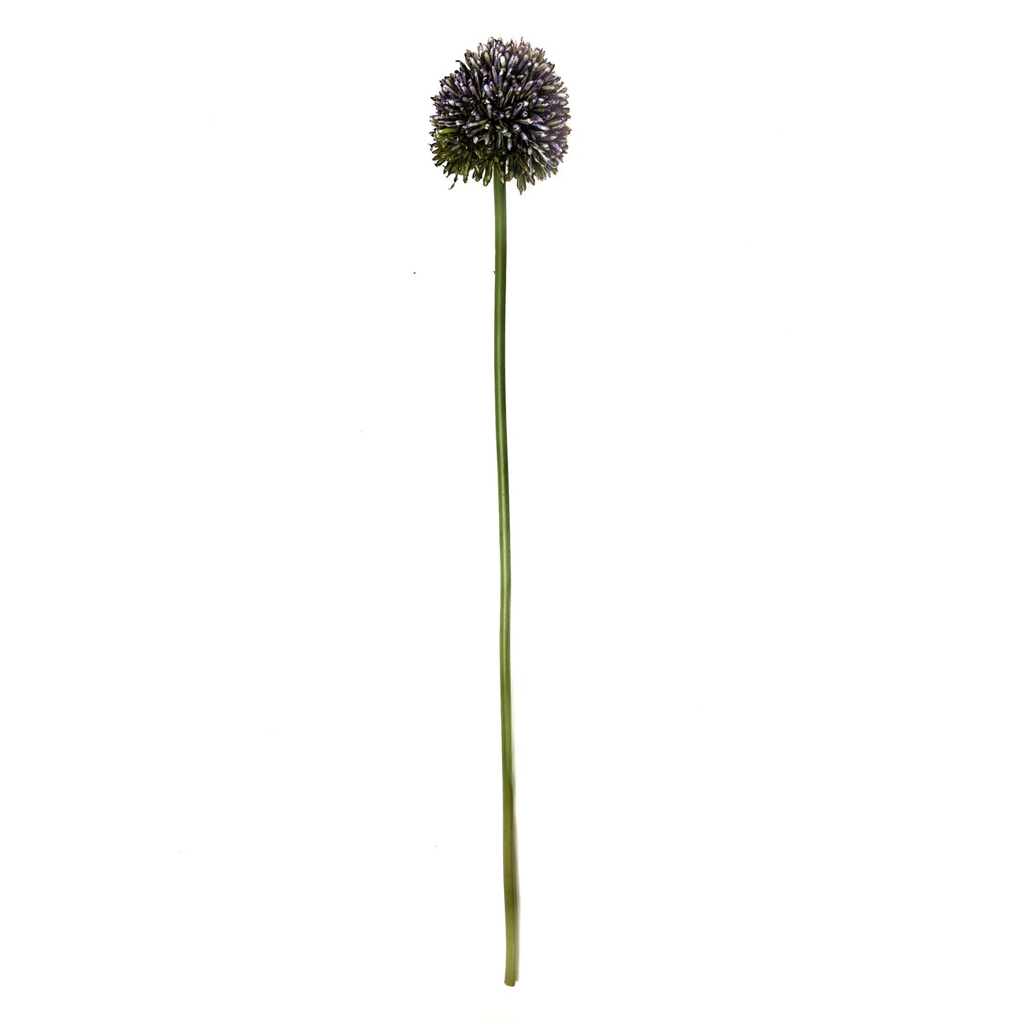 Artificial Allium Flower Stem 55cm - Purple