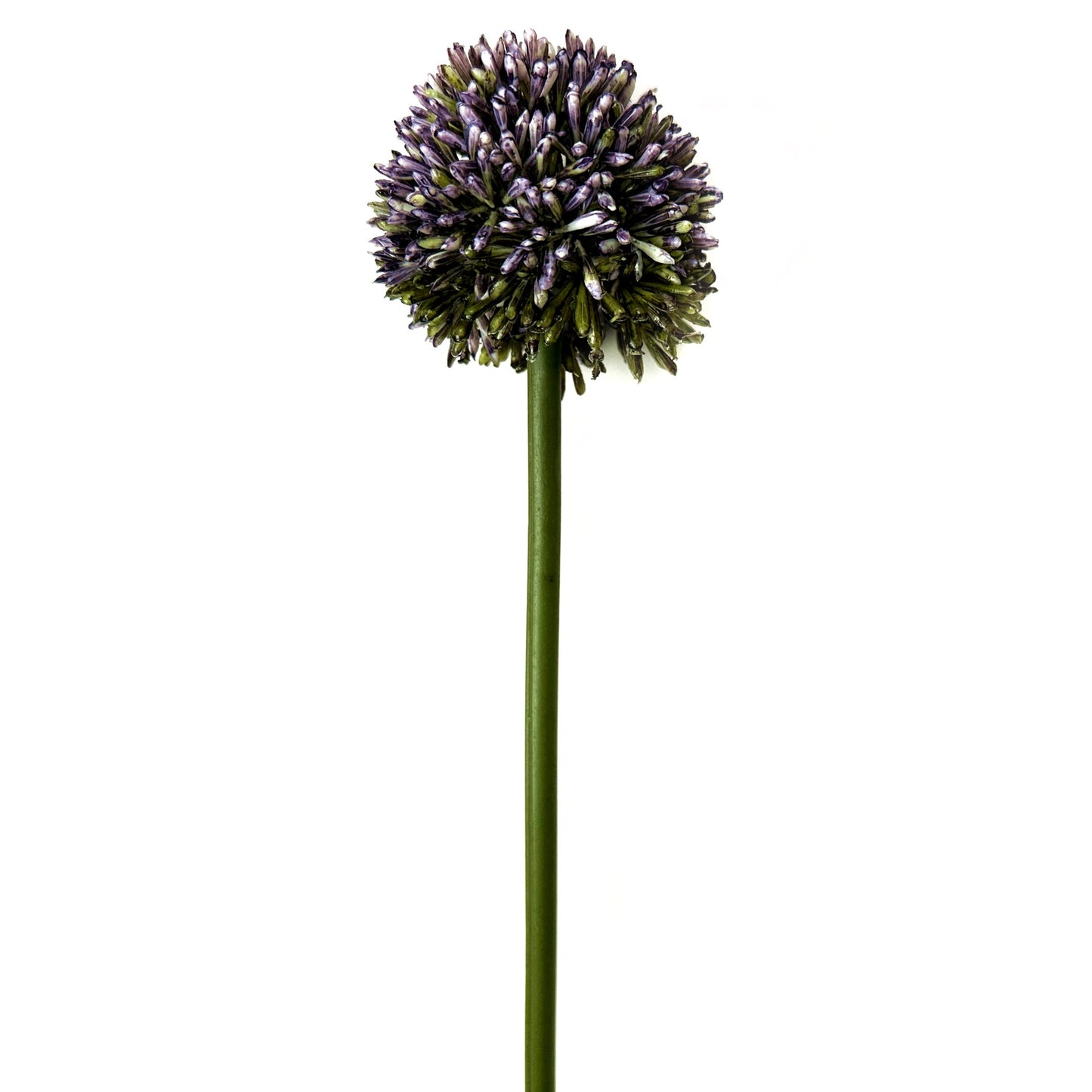 Artificial Allium Flower Stem 55cm - Purple