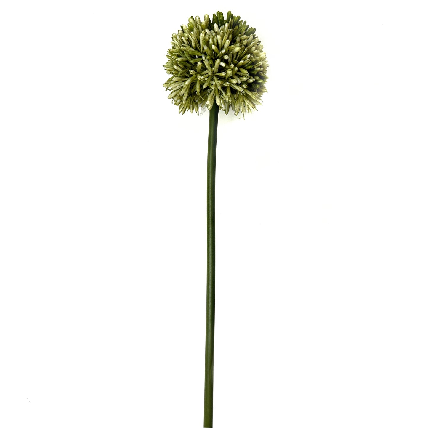 Artificial Allium Flower Stem 55cm - Green