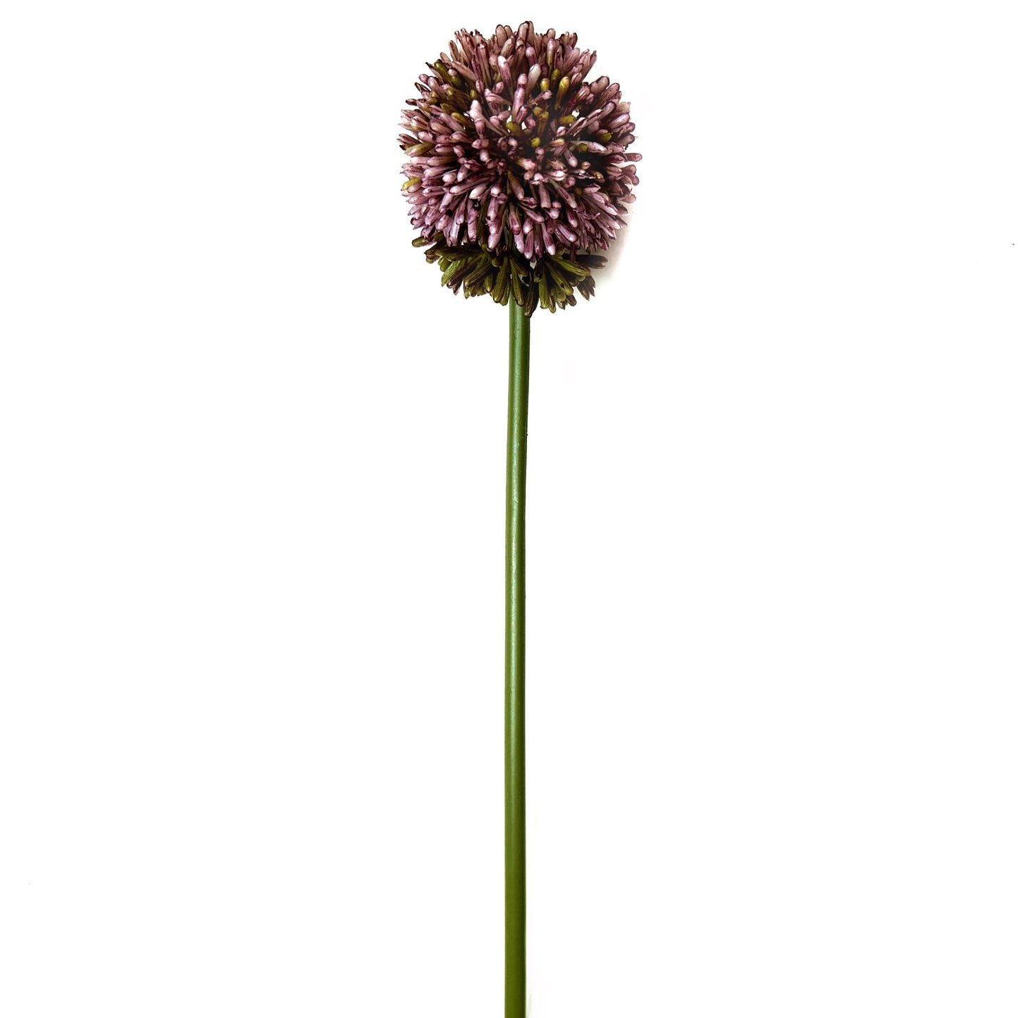 Artificial Allium Flower Stem 55cm - Pink