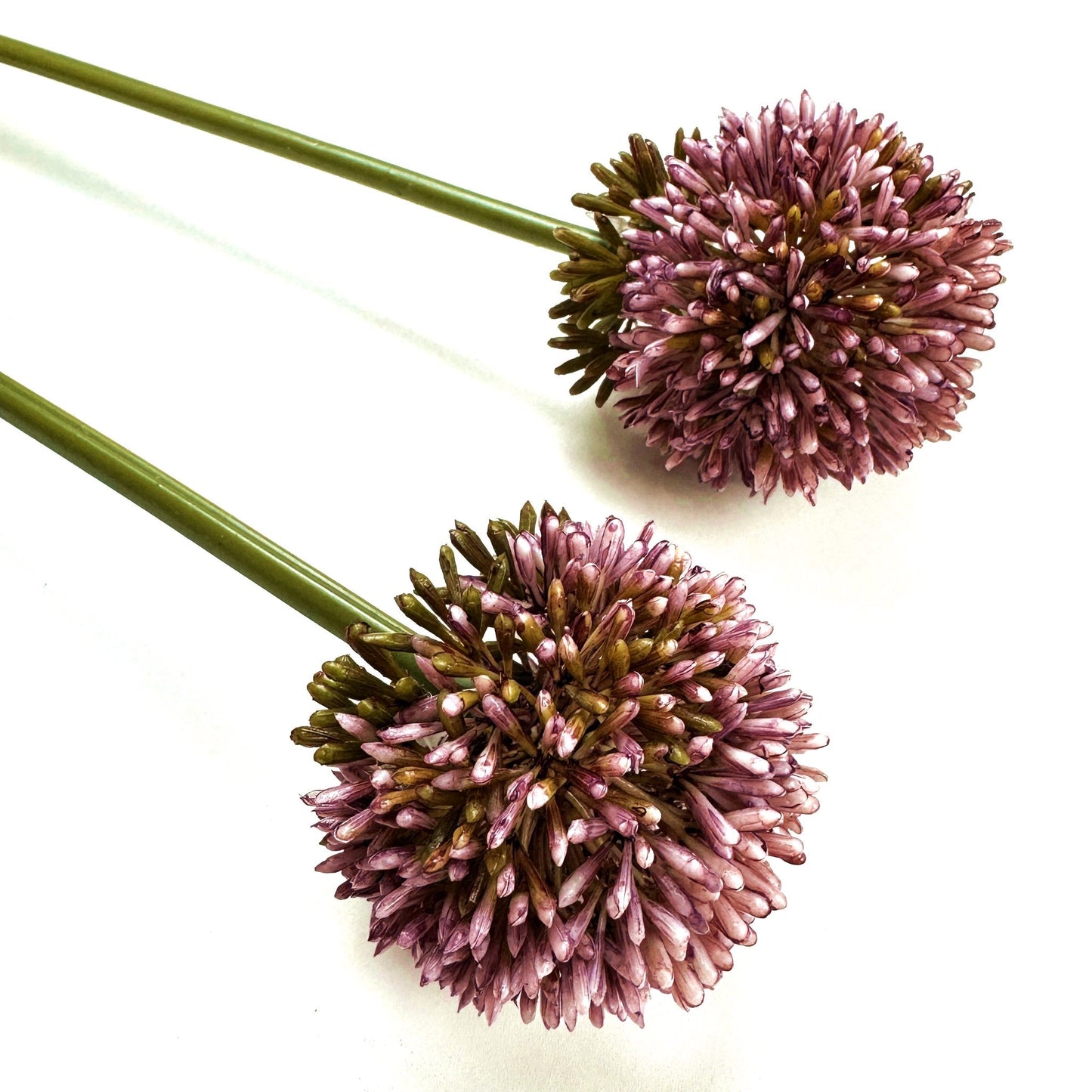 Artificial Allium Flower Stem 55cm - Pink