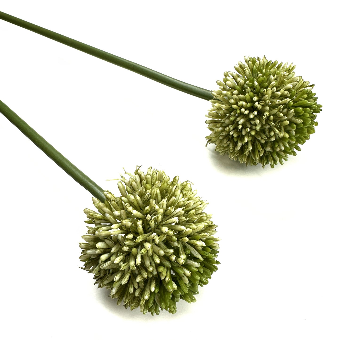 Artificial Allium Flower Stem 55cm - Green