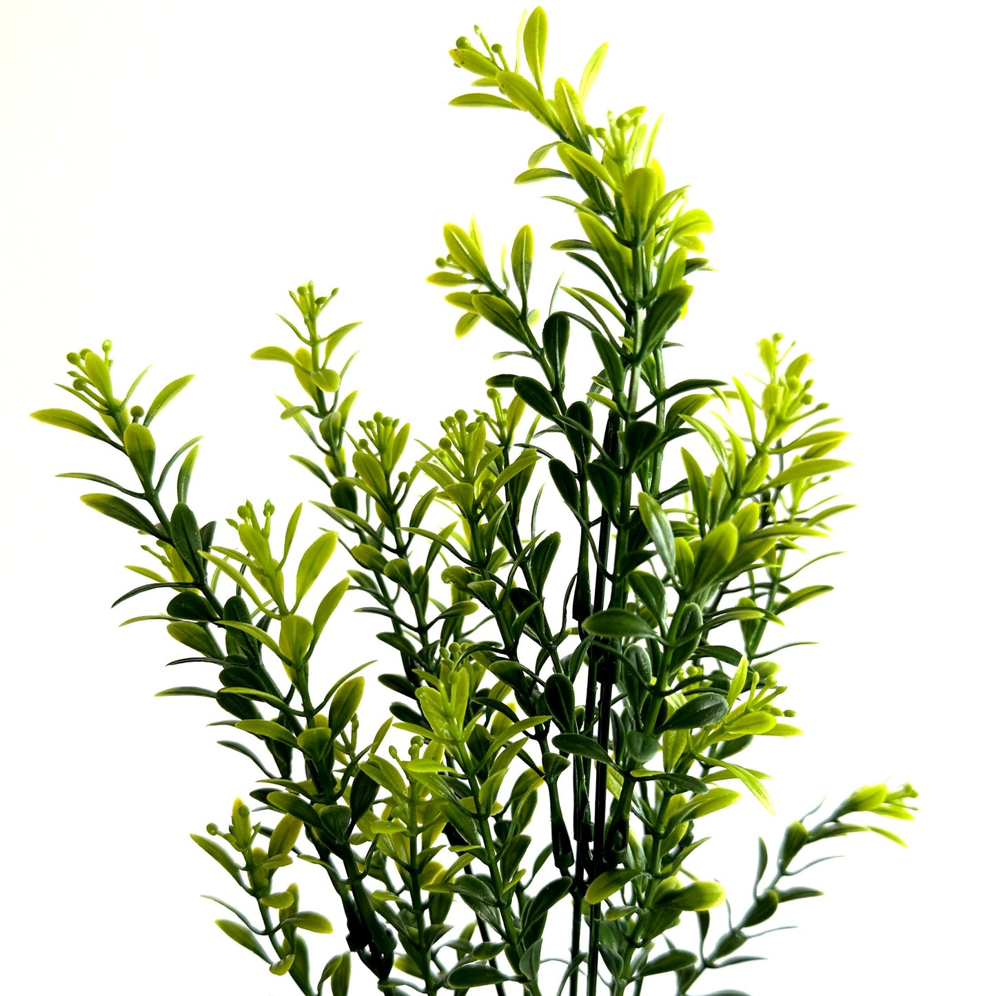 Artificial Tea Leaf Plant 33cm