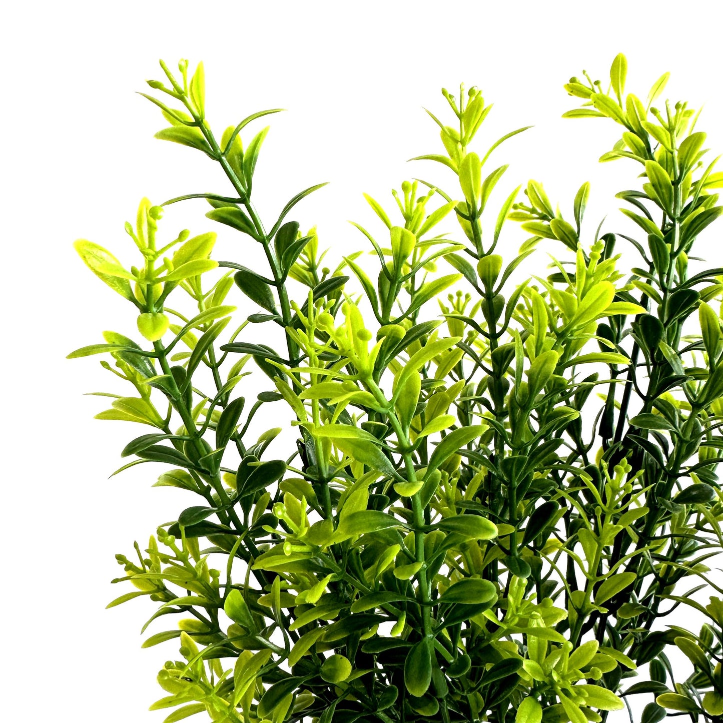 Artificial Tea Leaf Plant 33cm