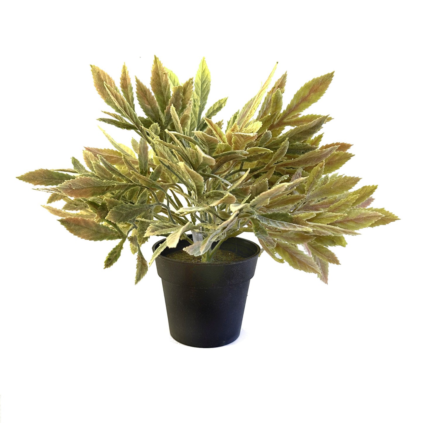 Artificial Sage Bush in Black Pot