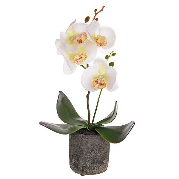Artificial Cream Orchid in Stone Pot 35cm