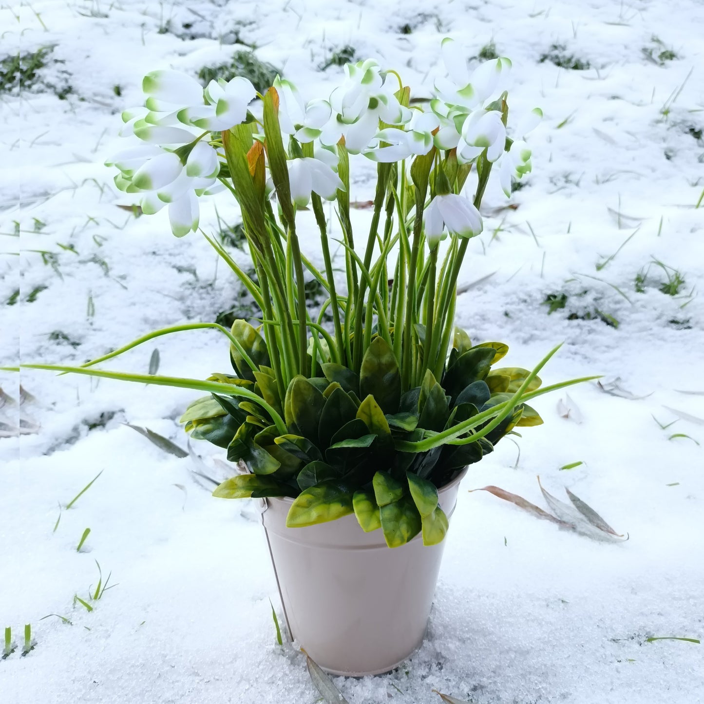 Artificial Snowdrop Flowers in a Cream Metal Bucket Container