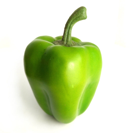 Artificial Green Pepper Faux Vegetable Prop
