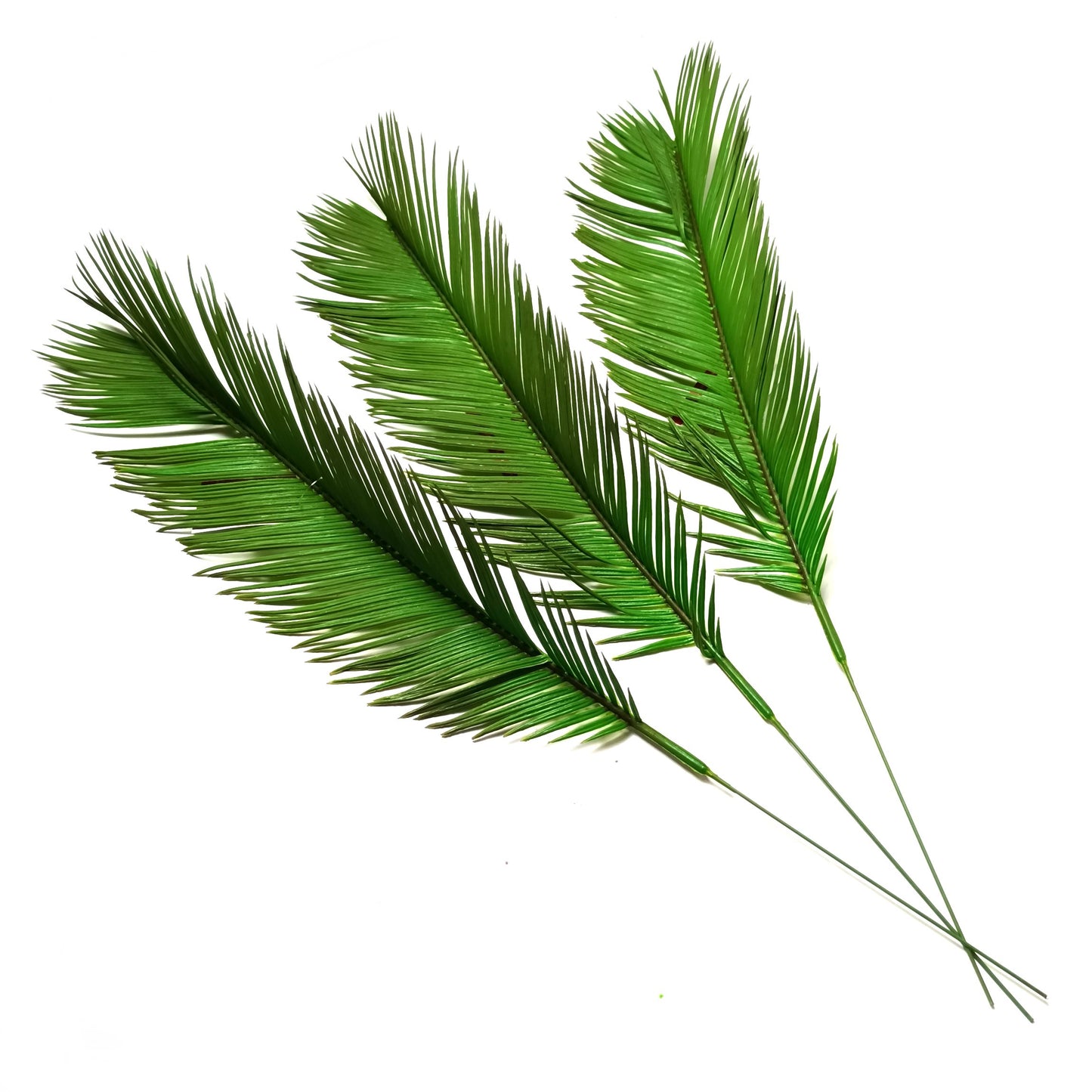 Artificial Cycas Palm Leaf