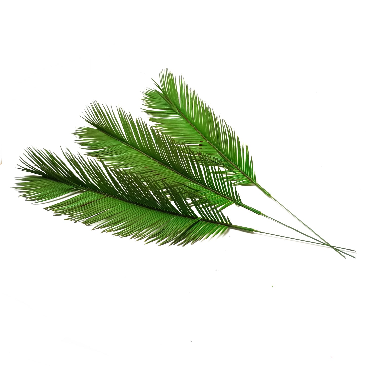 Artificial Cycas Palm Leaf