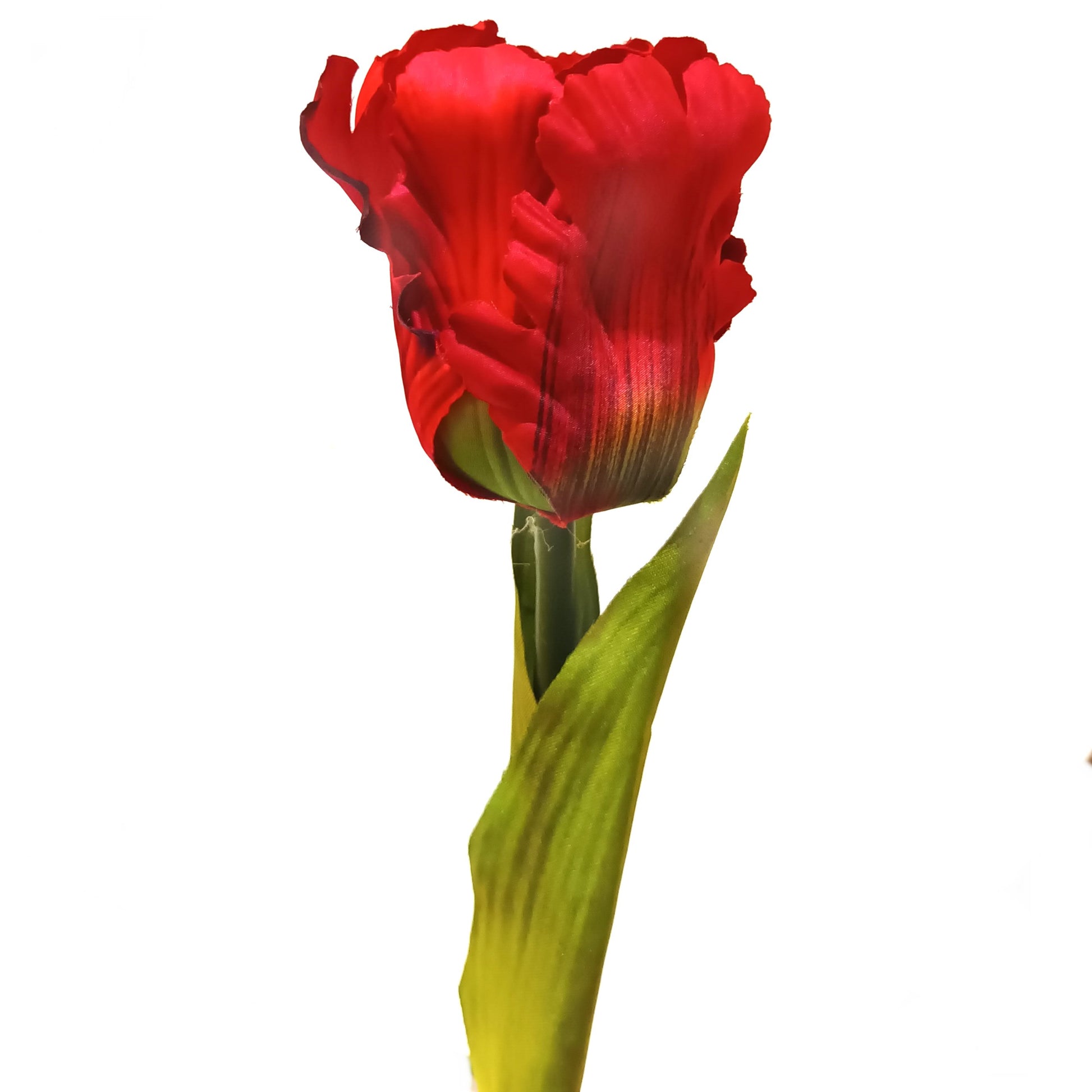 Artificial Parrot Tulip Flower Stem Red