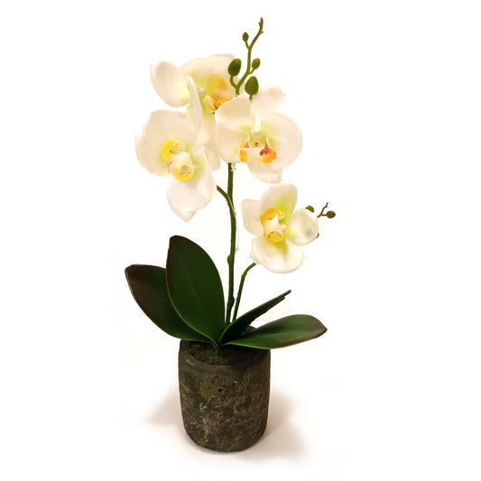 Artificial Cream Orchid in Stone Pot 35cm