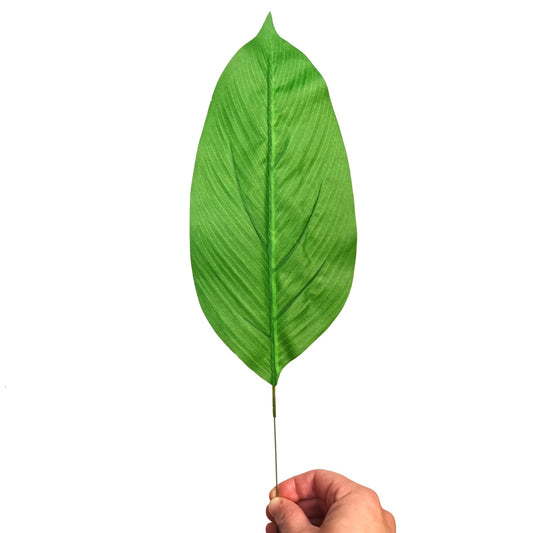 Aspidistra artificial troipcal leaf