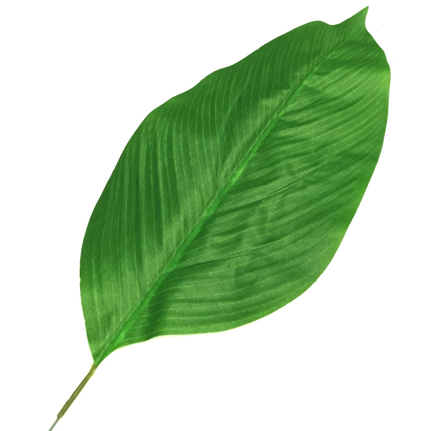 Artificial Aspidistra Tropical Leaf 40cm