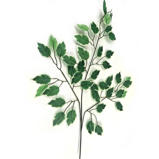 Artificial Varigated Ficus Leaf Branch 60cm