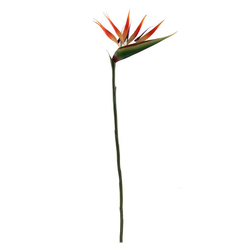 Artificial Bird of Paradise Flower Stem