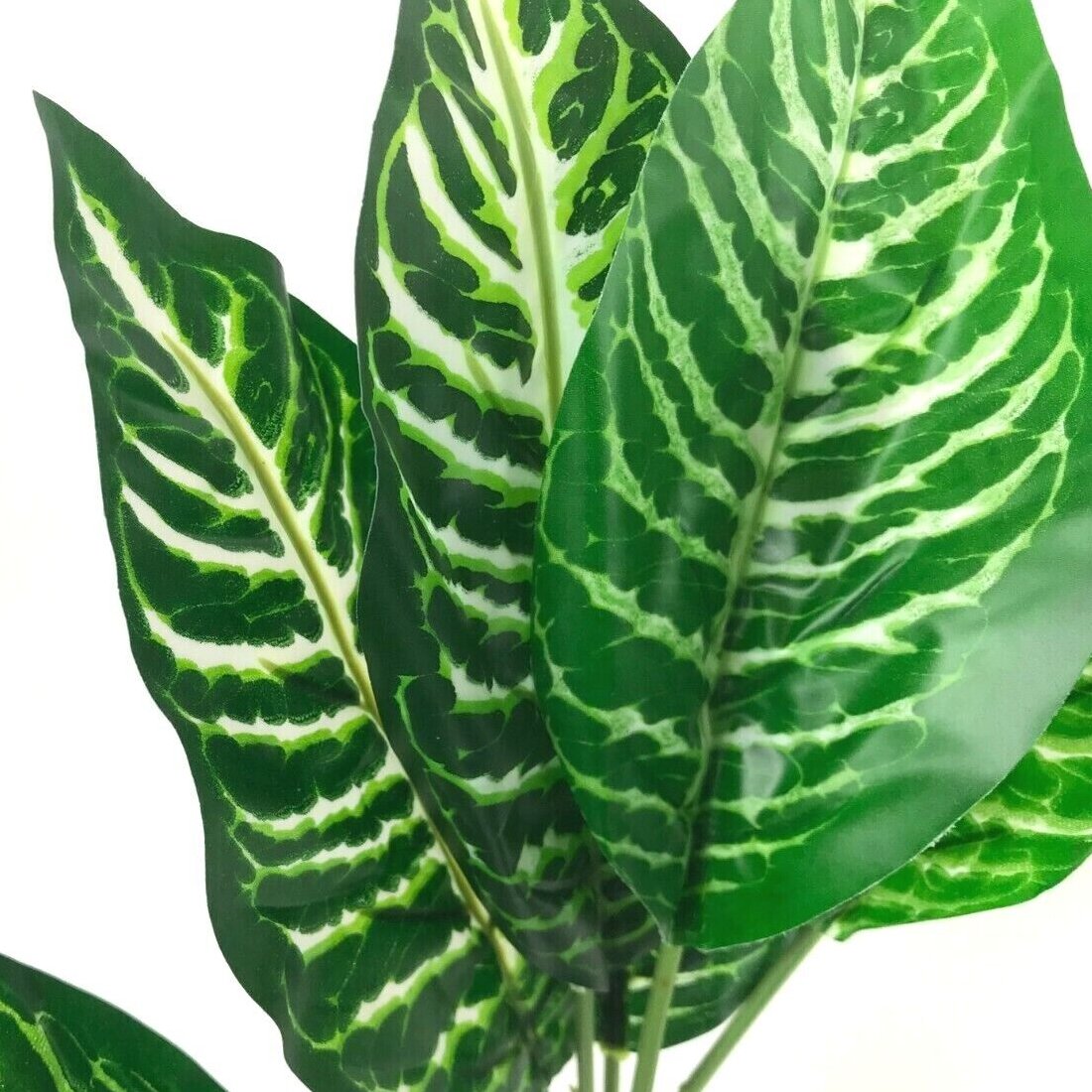 Artificial Dieffenbachia Plant 35cm