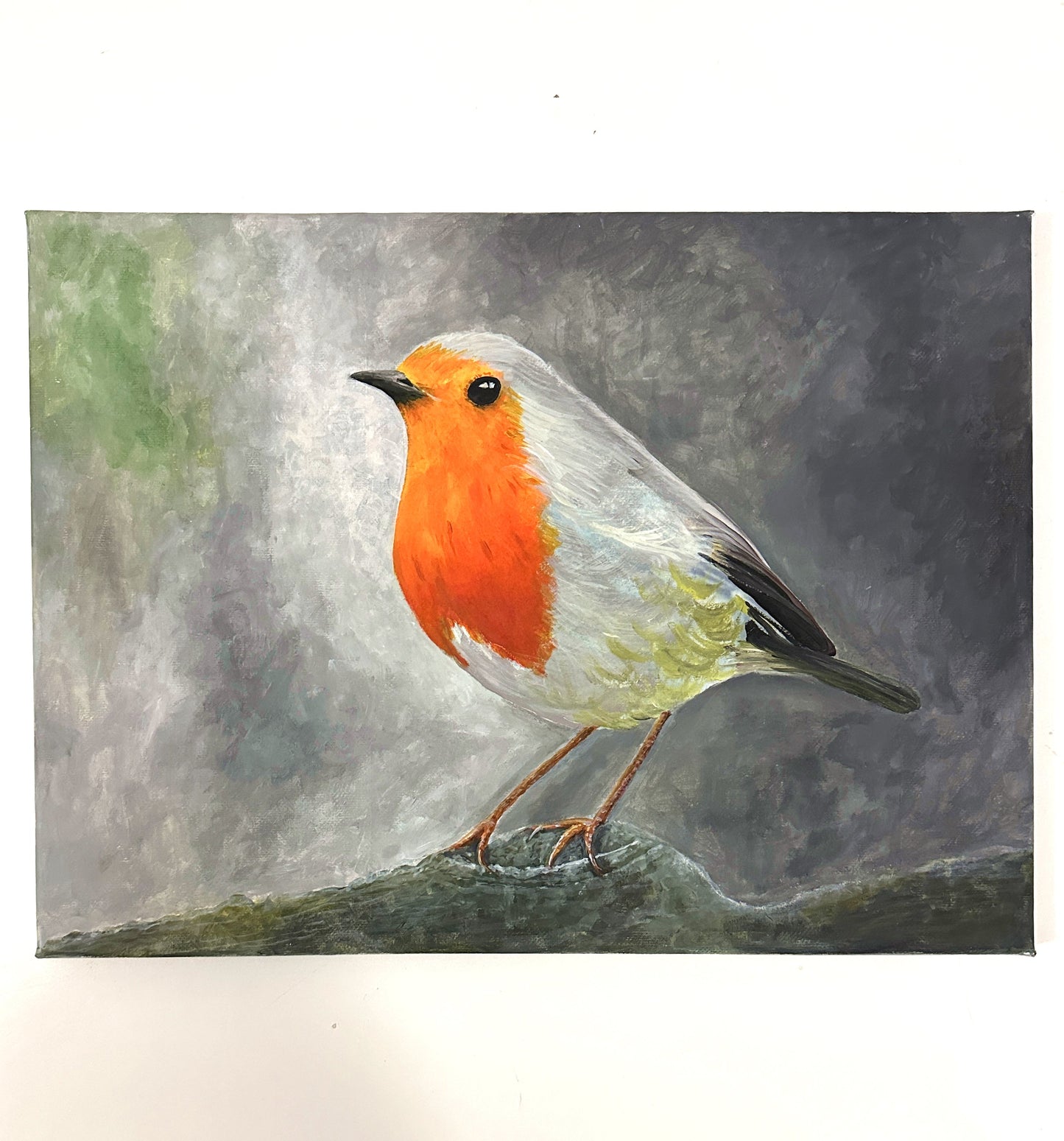 Robin Bird Art Original Acrylic Painting by Andrew Read