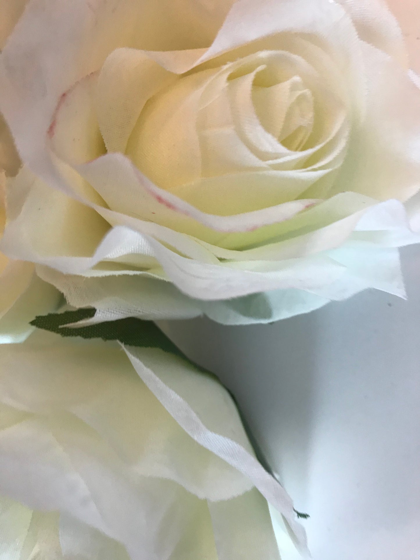 Pack of 12 Artificial Ivory Roses - 8cm Flowers
