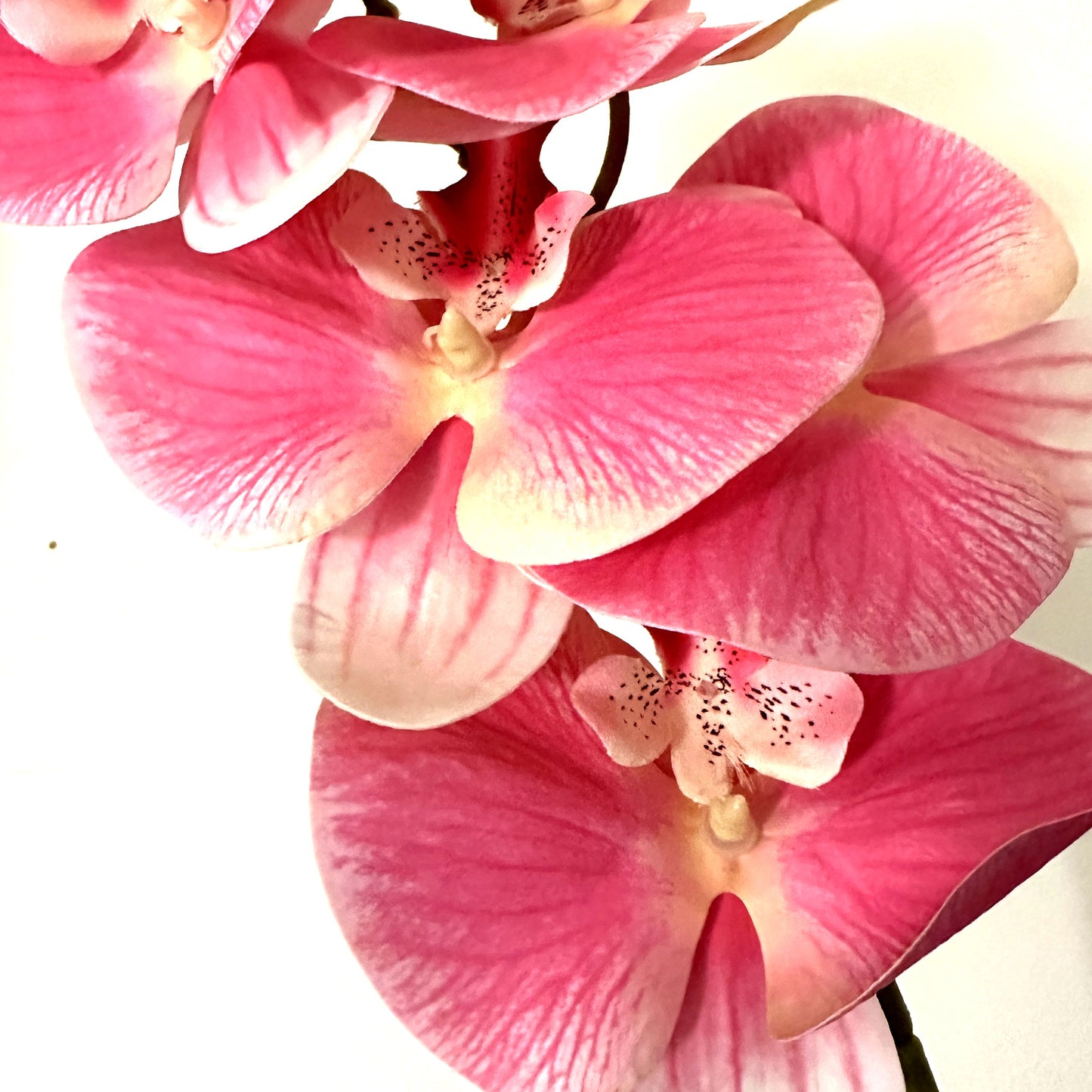 75cm Artificial Pink Phalaenopsis Orchid Flower Stem