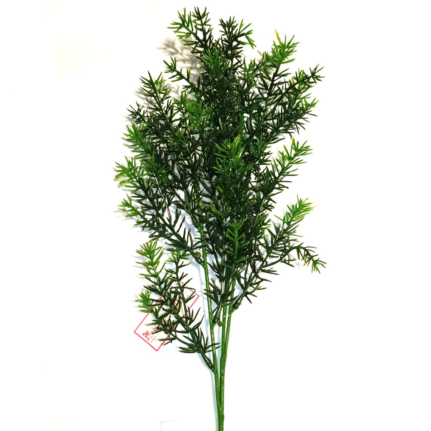 Springeri Fern Plant Foliage Spray 65cm